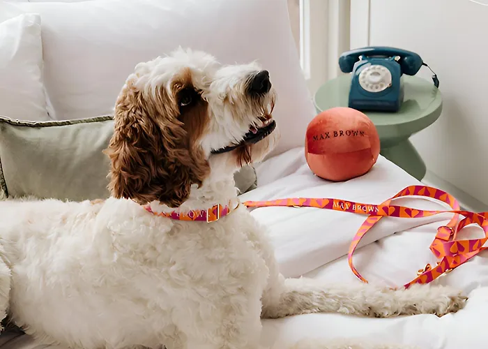 Max Brown Hotel Museum Square, Part Of Sircle Collection Amsterdam